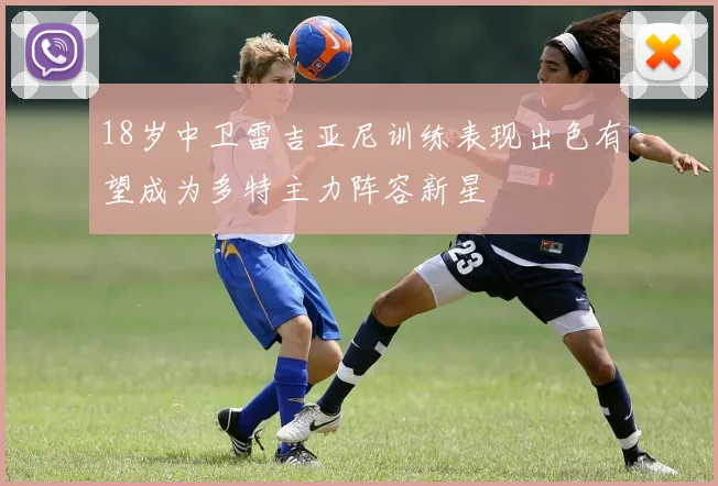 18岁中卫雷吉亚尼训练表现出色有望成为多特主力阵容新星